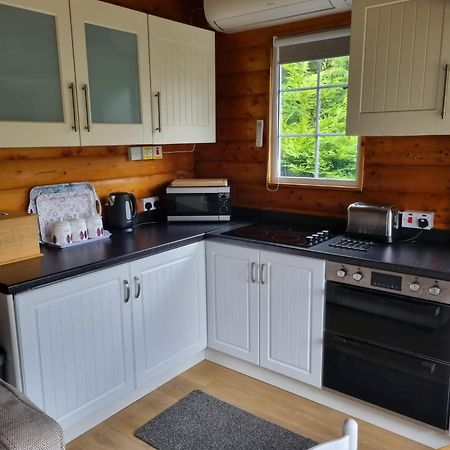 Mountain View Log Cabin In Snowdonia Nr Coed Y Brenin Tanygrisiau Extérieur photo