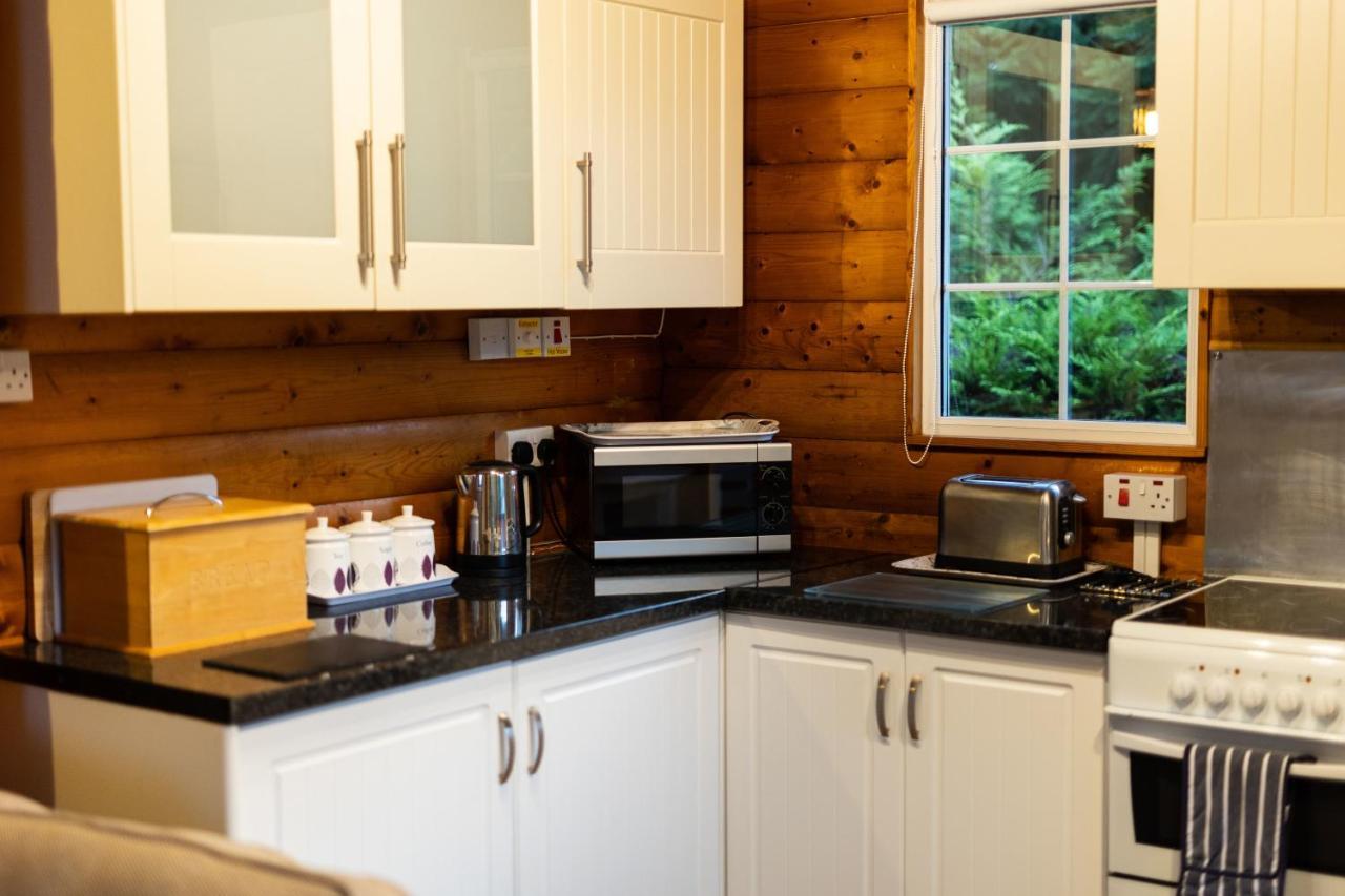Mountain View Log Cabin In Snowdonia Nr Coed Y Brenin Tanygrisiau Extérieur photo
