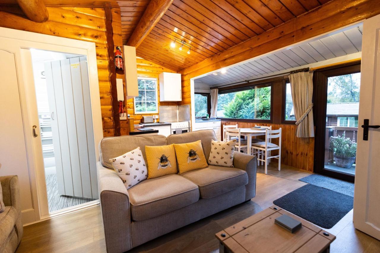 Mountain View Log Cabin In Snowdonia Nr Coed Y Brenin Tanygrisiau Extérieur photo