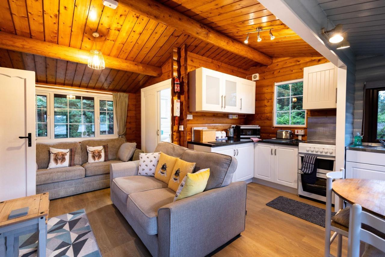 Mountain View Log Cabin In Snowdonia Nr Coed Y Brenin Tanygrisiau Extérieur photo